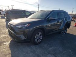 Salvage cars for sale at auction: 2024 Toyota Rav4 XLE