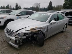 Lexus Vehiculos salvage en venta: 2009 Lexus LS 460