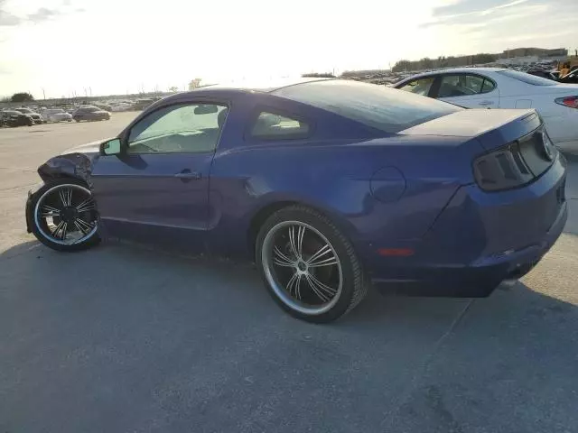 2014 Ford Mustang