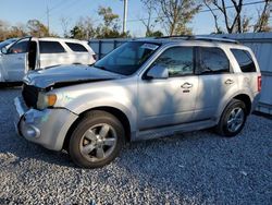 2011 Ford Escape Limited en venta en Riverview, FL