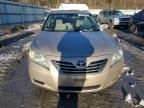 2008 Toyota Camry Hybrid