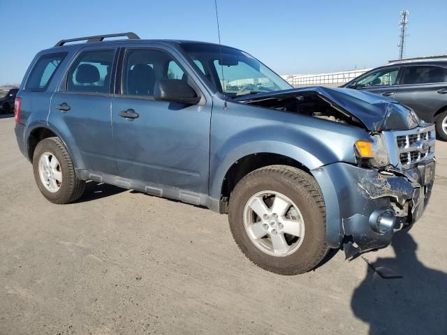 2011 Ford Escape XLS