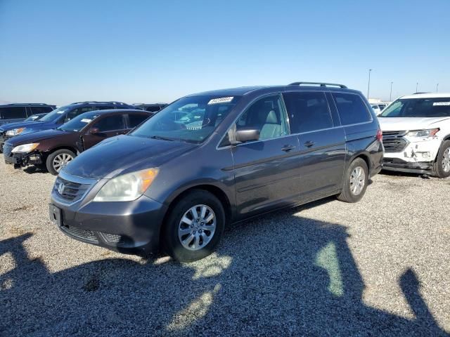 2010 Honda Odyssey EXL