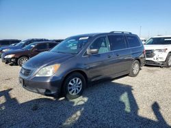 Honda Vehiculos salvage en venta: 2010 Honda Odyssey EXL