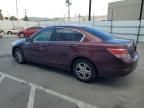 2009 Honda Accord LXP