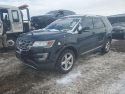 Salvage cars for sale at Brighton, CO auction: 2016 Ford Explorer XLT