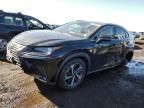 2021 Lexus NX 300H Base