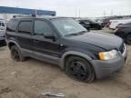 2002 Ford Escape XLT