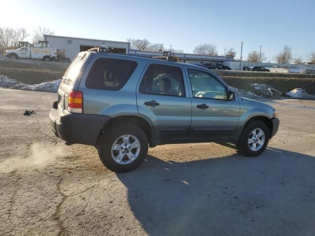 2007 Ford Escape XLT