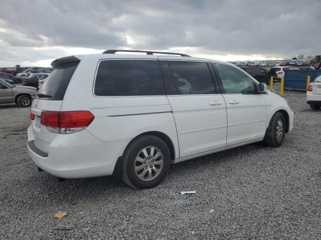 2008 Honda Odyssey EXL