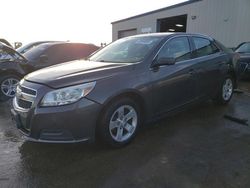 Salvage cars for sale at Elgin, IL auction: 2013 Chevrolet Malibu 1LT