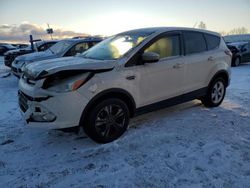 Vehiculos salvage en venta de Copart Davison, MI: 2013 Ford Escape SE