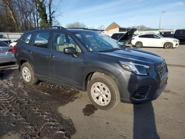 2024 Subaru Forester