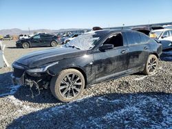 Salvage cars for sale from Copart Reno, NV: 2022 Cadillac CT5 Sport