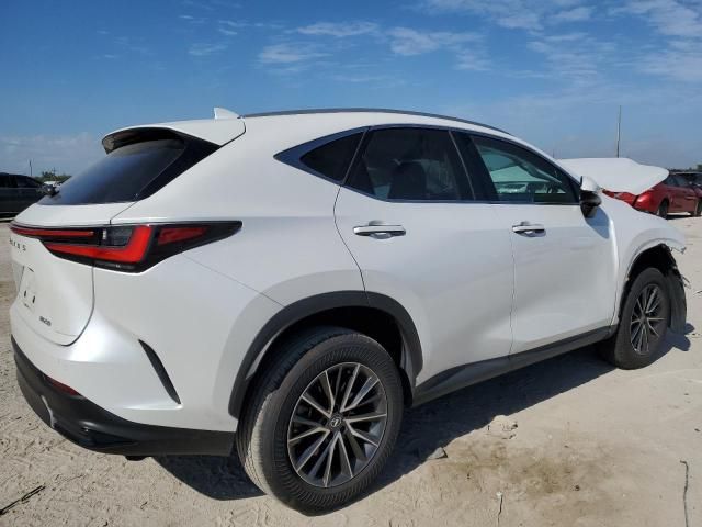 2024 Lexus NX 250 Premium