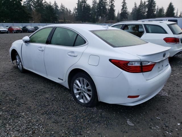 2014 Lexus ES 300H