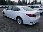 2014 Lexus ES 300H