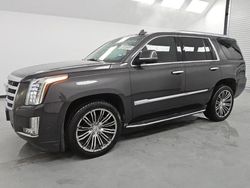 Lots with Bids for sale at auction: 2018 Cadillac Escalade Luxury