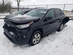 Salvage cars for sale at Cicero, IN auction: 2021 Toyota Rav4 XLE