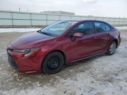 2023 Toyota Corolla LE en venta en Bismarck, ND