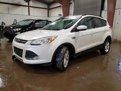 Salvage SUVs for sale at auction: 2014 Ford Escape SE