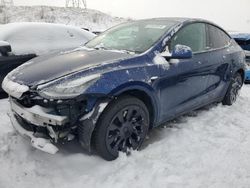 Salvage cars for sale at Littleton, CO auction: 2020 Tesla Model Y