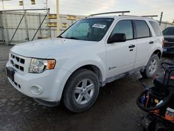 Salvage cars for sale at Dyer, IN auction: 2011 Ford Escape Hybrid