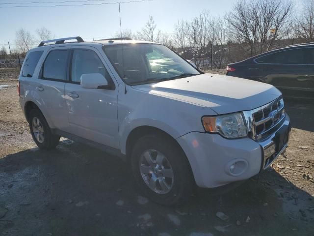 2009 Ford Escape Limited