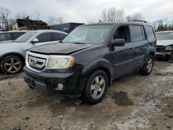 Salvage cars for sale at auction: 2010 Honda Pilot EX