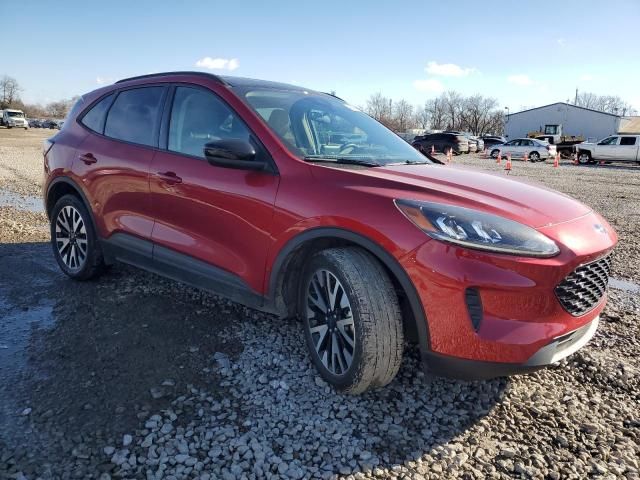 2020 Ford Escape SE Sport