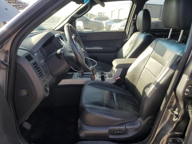 2009 Ford Escape XLT