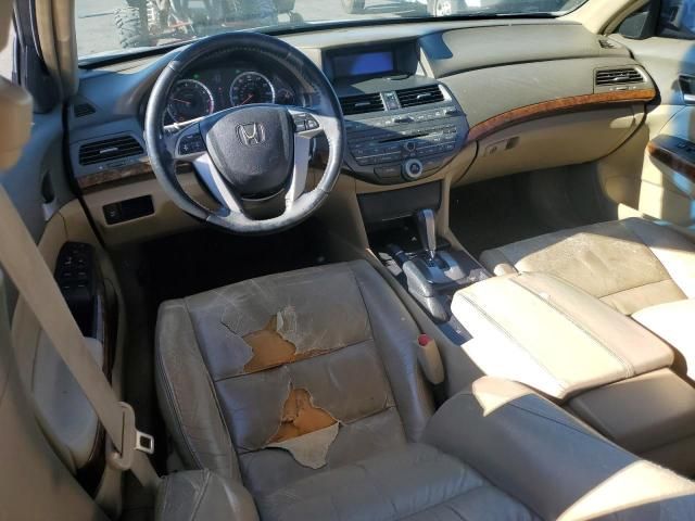 2008 Honda Accord EXL