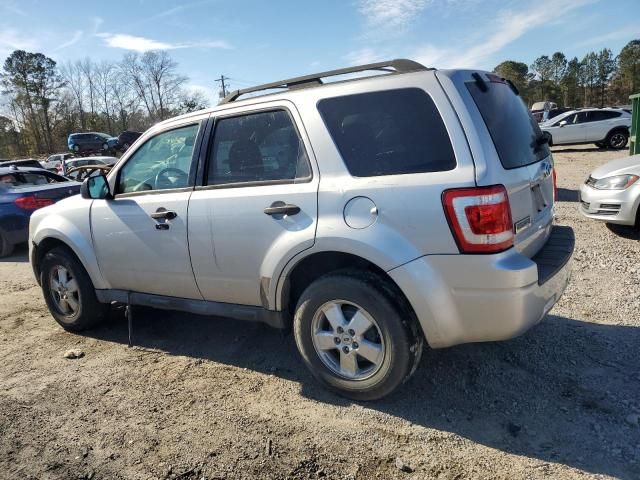 2011 Ford Escape XLT