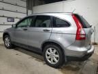 2007 Honda CR-V EX