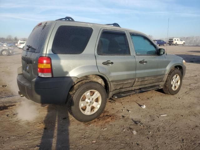 2005 Ford Escape XLT