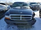 2004 Dodge Dakota SXT