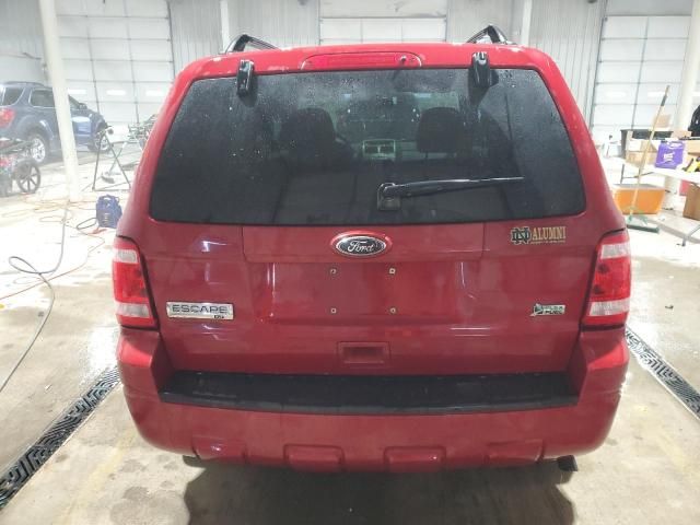 2010 Ford Escape XLT