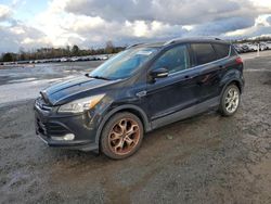 Salvage cars for sale from Copart Lumberton, NC: 2014 Ford Escape Titanium