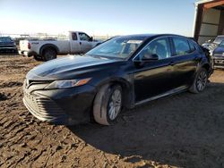 Salvage cars for sale from Copart Houston, TX: 2018 Toyota Camry L