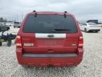 2010 Ford Escape Limited