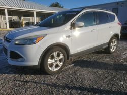 Ford Vehiculos salvage en venta: 2014 Ford Escape SE