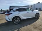 2024 Lexus RX 350H Base