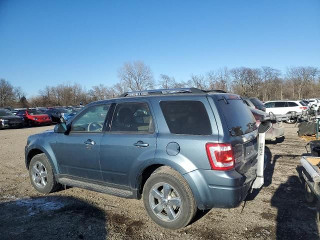 2010 Ford Escape Limited