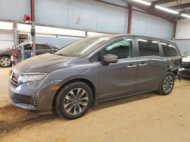 2024 Honda Odyssey EXL