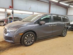 Honda Odyssey exl Vehiculos salvage en venta: 2024 Honda Odyssey EXL