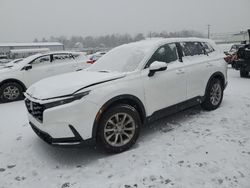 2023 Honda CR-V EXL en venta en Pennsburg, PA