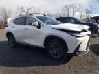 2024 Lexus NX 350H Base