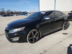 Salvage cars for sale at Lawrenceburg, KY auction: 2013 KIA Optima SX