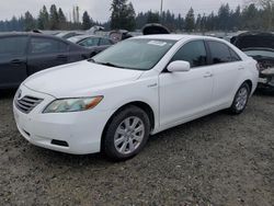 Toyota Camry Hybrid salvage cars for sale: 2009 Toyota Camry Hybrid