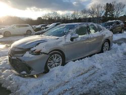 Toyota Camry salvage cars for sale: 2020 Toyota Camry XLE